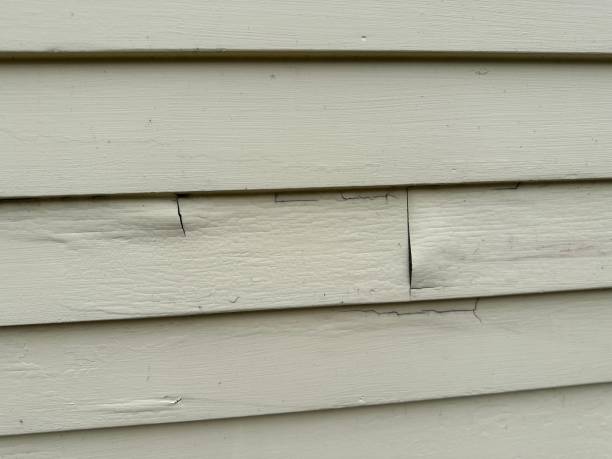 Affordable siding repair and maintenance services in Alliance, OH